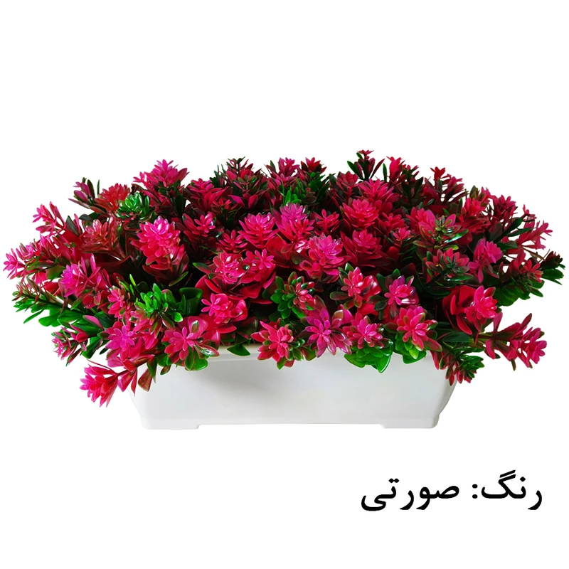 عکس شماره 3