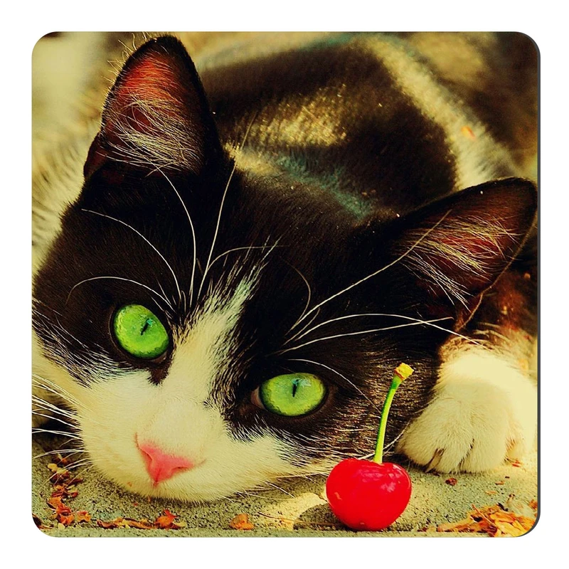  مگنت طرح گربه کد NIM606 