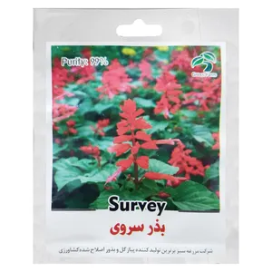 بذر گل سروی گرین فارم کد GR 124