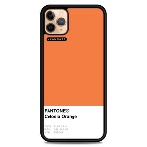 AKAM AMC-WA11PRO-PANTONE-3 Cover For Apple iPhone 11 Pro