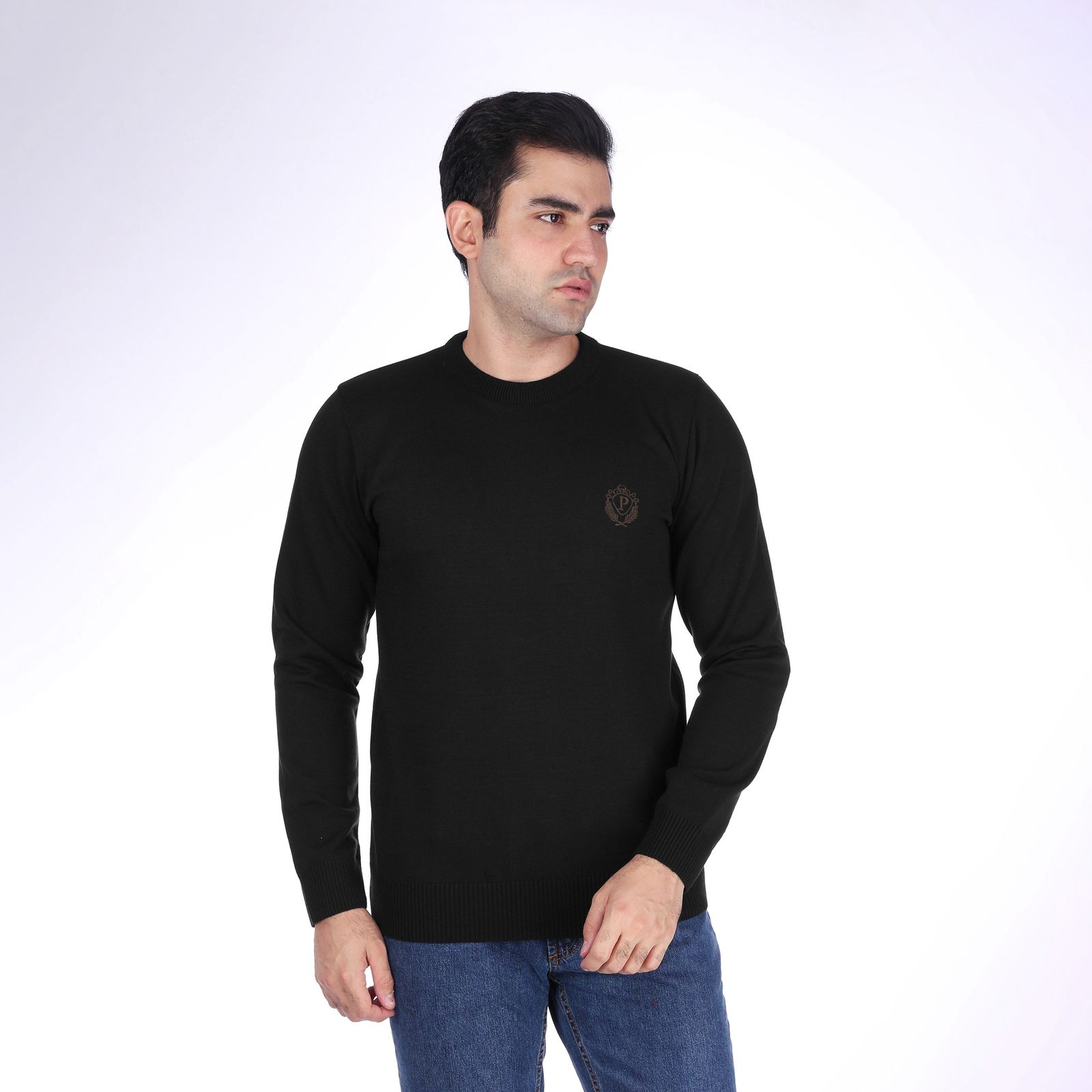 پلیور مردانه تریکو پاییزان مدل PR700 - - 94