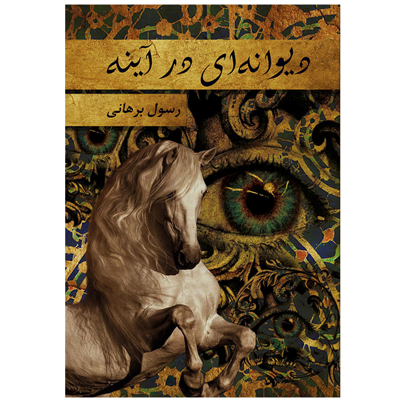 کتاب دیوانه ای در آینه اثر رسول برهانی محمودآبادی انتشارات رسانه ساز دانش