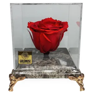 گل رز جاودان گلد رز مدل RED00