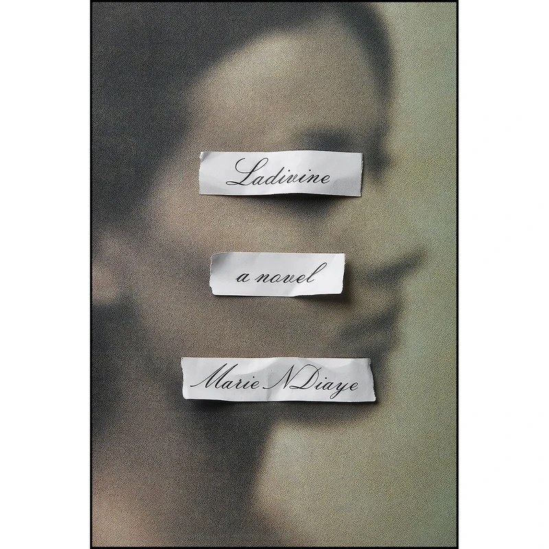 کتاب Ladivine اثر Marie NDiaye and Jordan Stump انتشارات Alfred A. Knopf