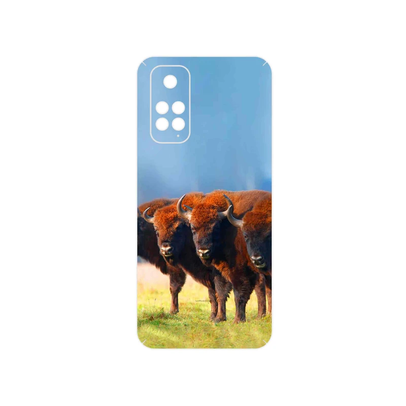 برچسب پوششی ماهوت مدل Buffalo مناسب برای گوشی موبایل شیائومی Redmi Note 11