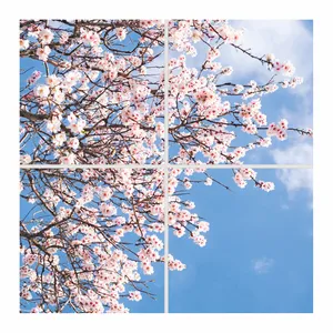 تایل سقفی آسمان مجازی مدل SK-419 سایز 60x60 سانتیمتر مجموعه 4 عددی