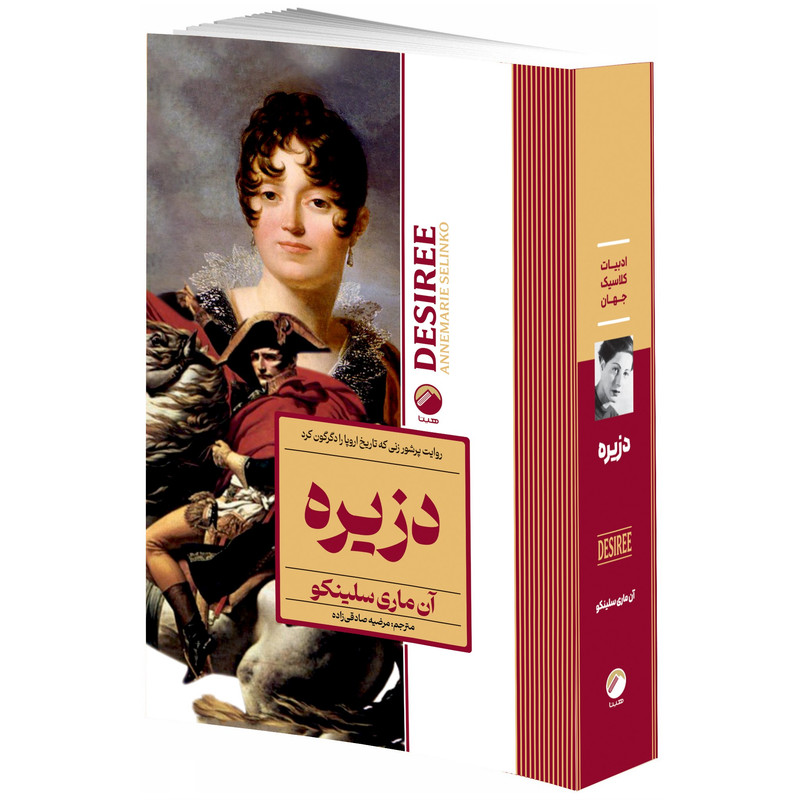 کتاب دزیره اثر آن ماری سلینکو ترجمه مرضیه صادقی زاده انتشارات هیتا