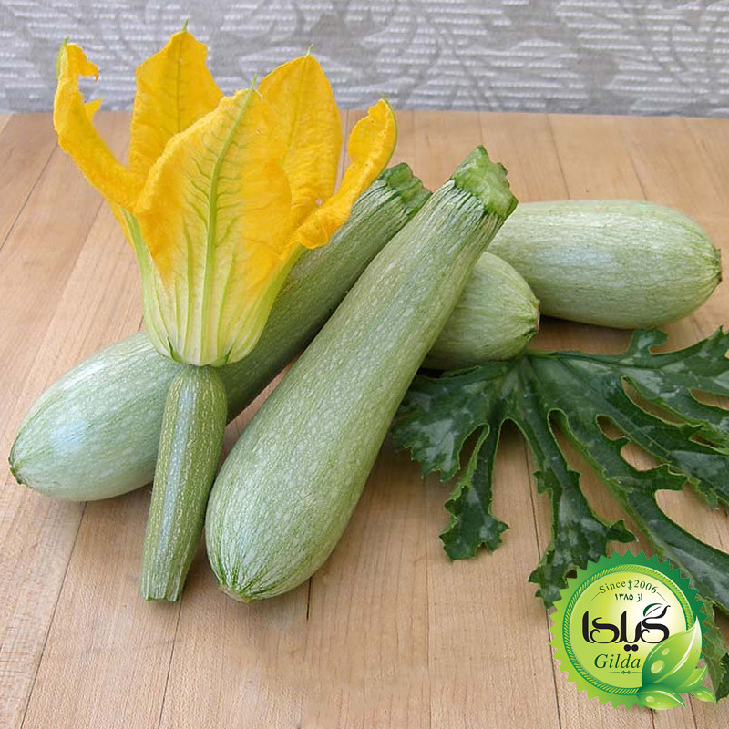 بذر کدو خورشتی گیلدا کد 770
