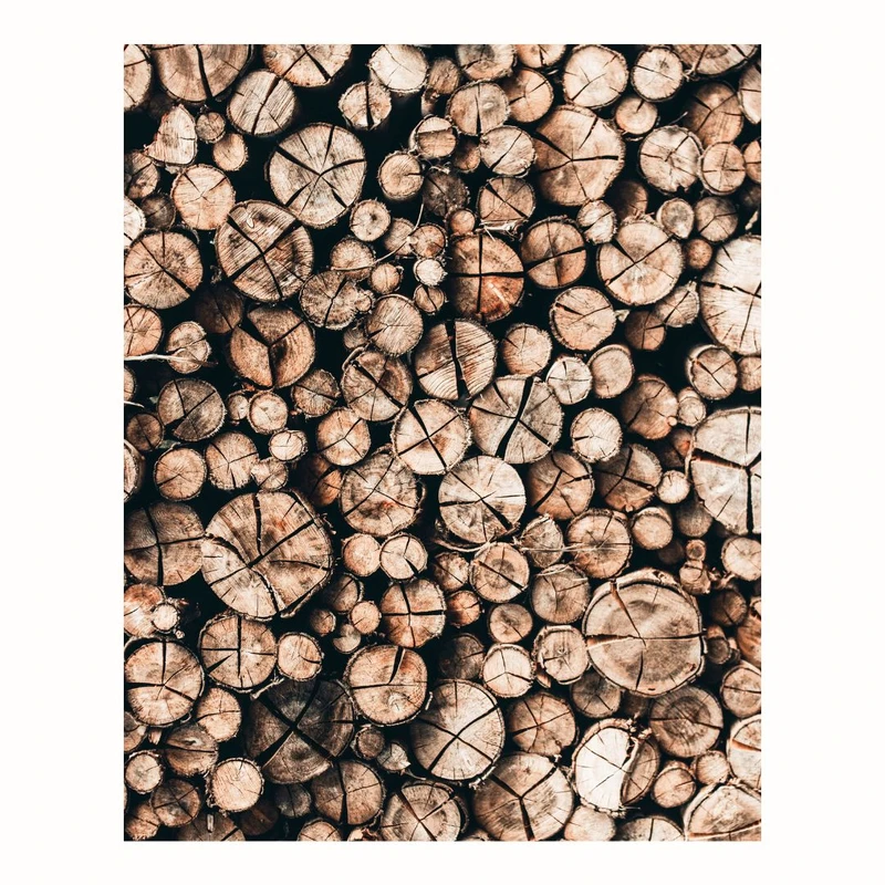 پوستر مدل  توده چوب‌ها 