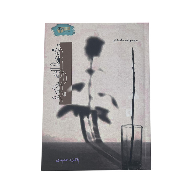 کتاب خطای دید اثر پاکیزه حمیدی نشر خیابان