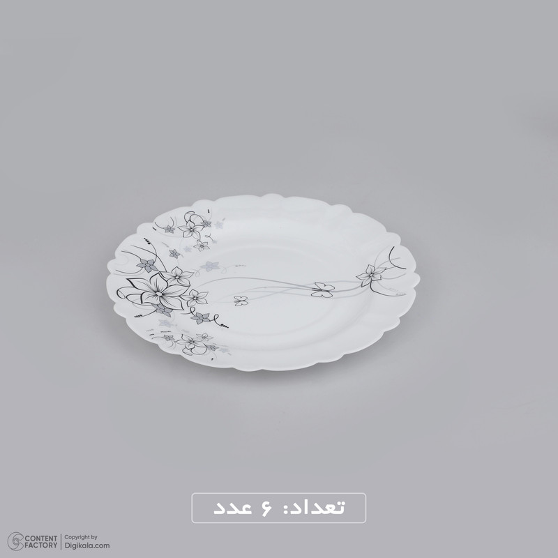 سرويس 25 پارچه آیروپال مدل رکسانا سرويس 25 پارچه آیروپال مدل رکسانا