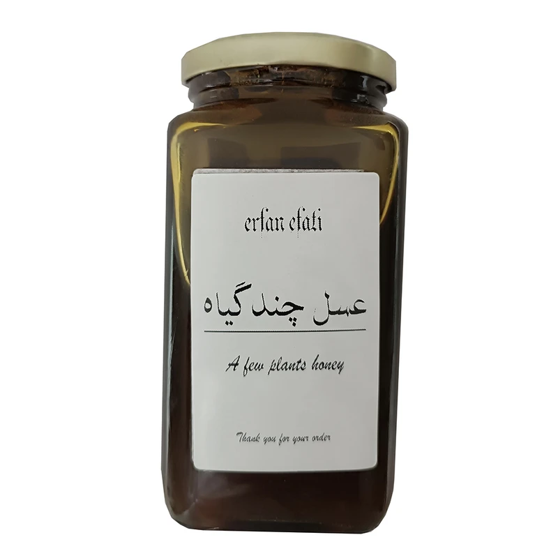 عسل چند گیاه طبیعی کل چرمی - 980 گرم