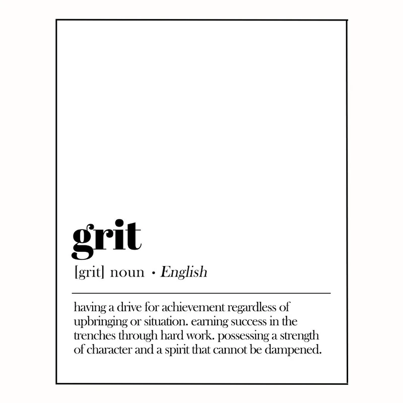 پوستر مدل دیکشنری با تعریف-اصرار