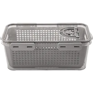 ظرف نگهدارنده لیمون مدل یخچالی کد DH2378