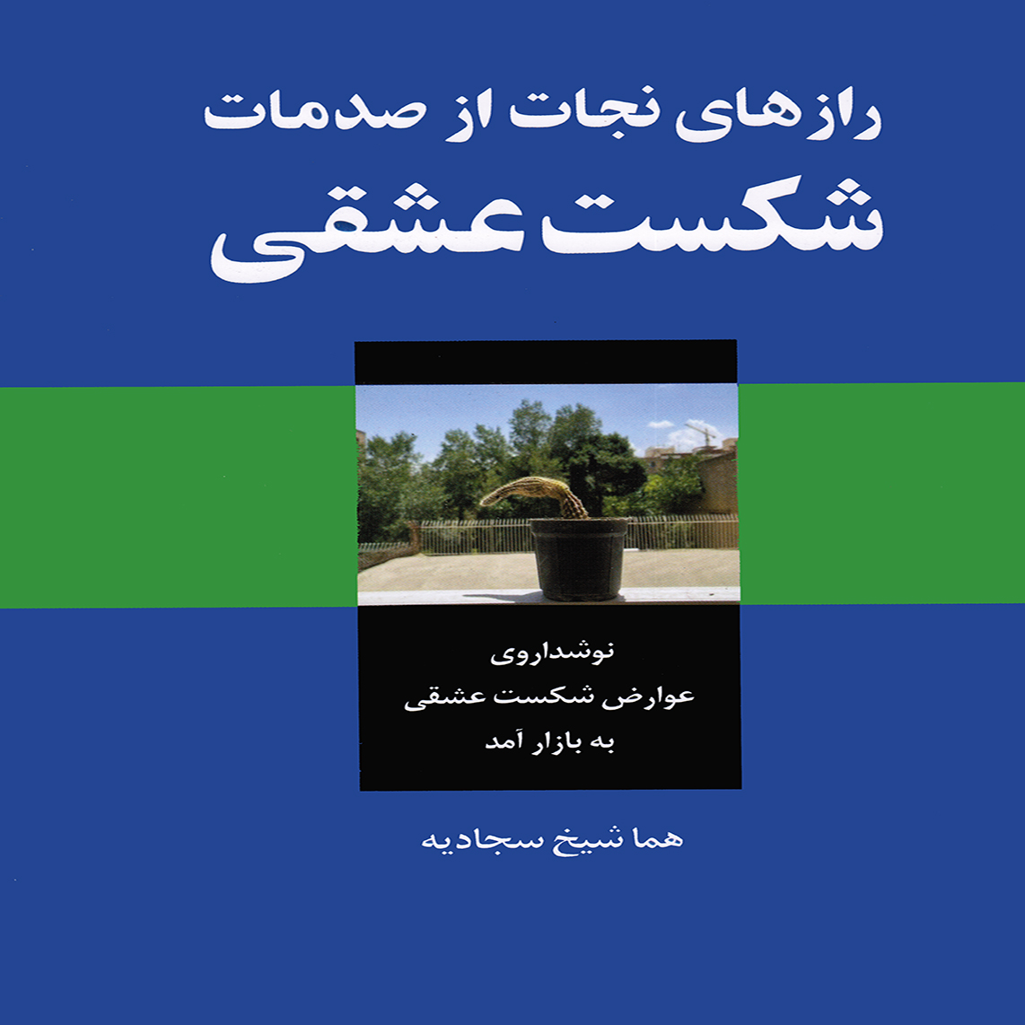 كتاب رازهاي نجات از صدمات شكست عشقي اثر هما شيخ سجاديه انتشارات پويش انديشه