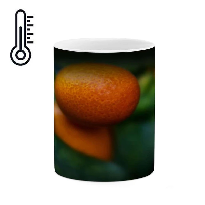 ماگ حرارتی کاکتی مدل میوه کد mgh17411