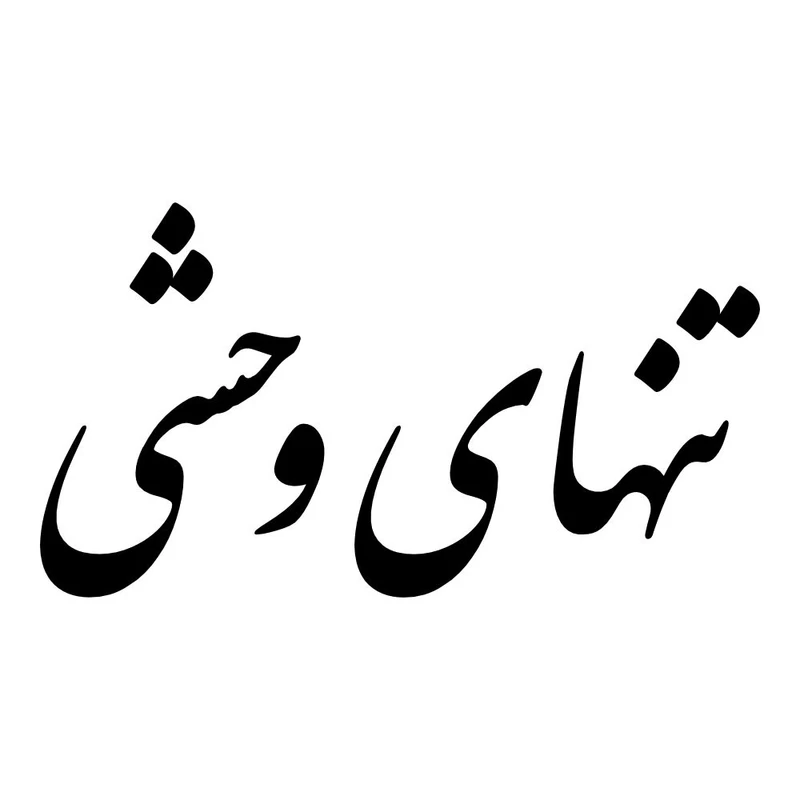 برچسب بدنه خودرو طرح تنهای وحشی کد MT-B449