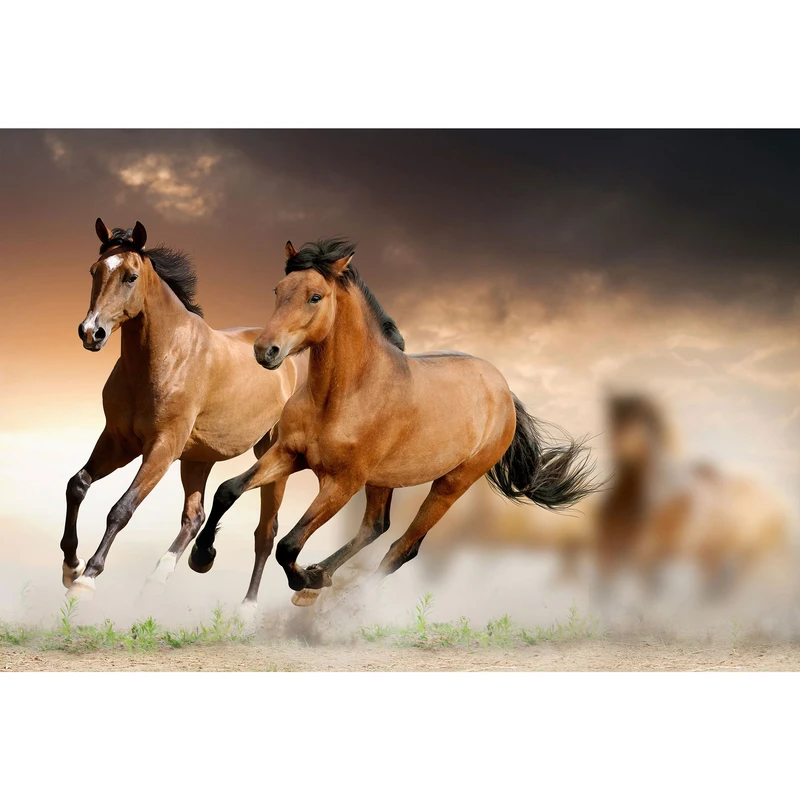 مگنت طرح حیوان اسب مدل T1323 