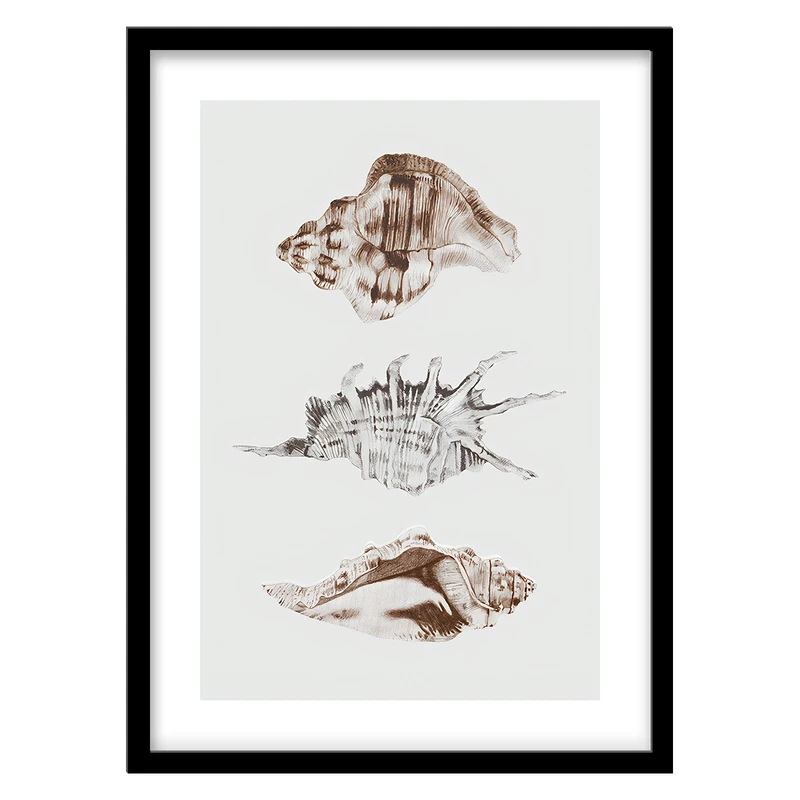 تابلو فورنیمو مدل پوستر مدرن و مینیمال صدف دریایی کد 05296B