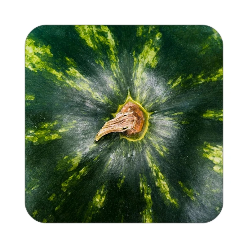 زیر لیوانی کاکتی طرح میوه مدل mp20839