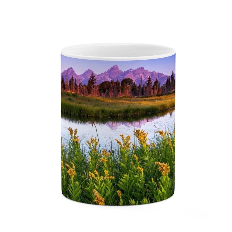 ماگ کاکتی مدل منظره کد mgh17768