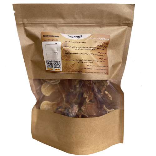 گانودرما چیست و آن را از کجا تهیه کنیم؟