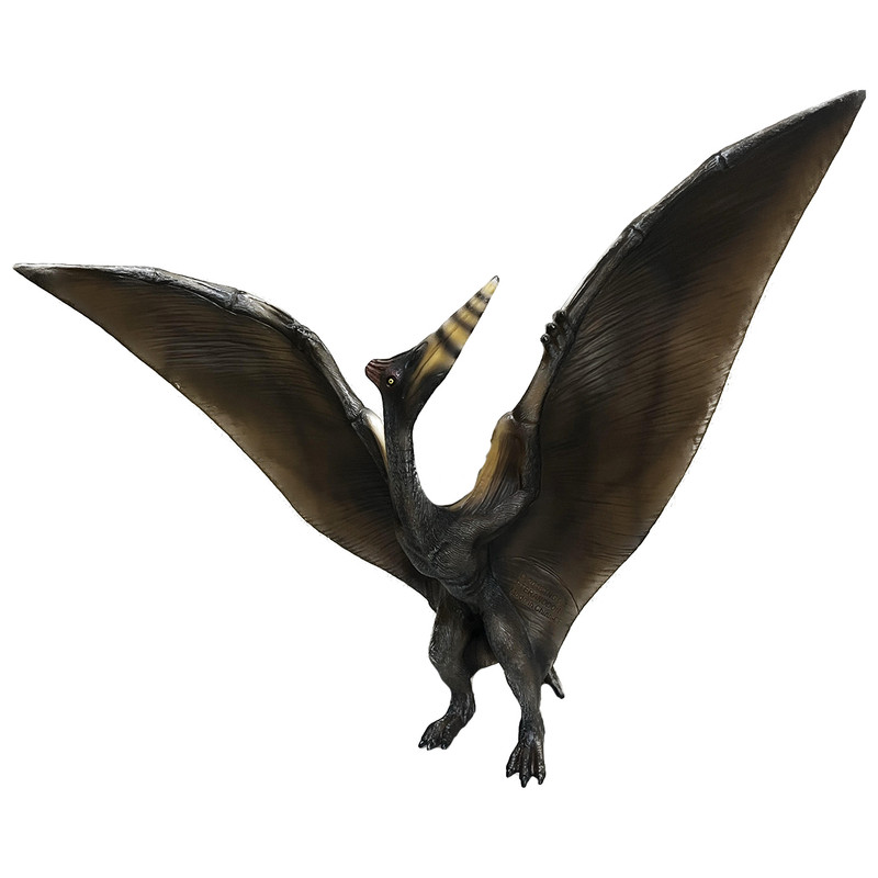 فیگور مدل دایناسور پرنده 
