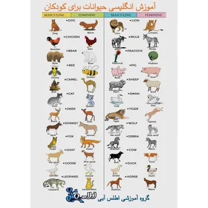 بازی آموزشی انگلیسی اطلس آبی طرح حیوانات مدل TE1014