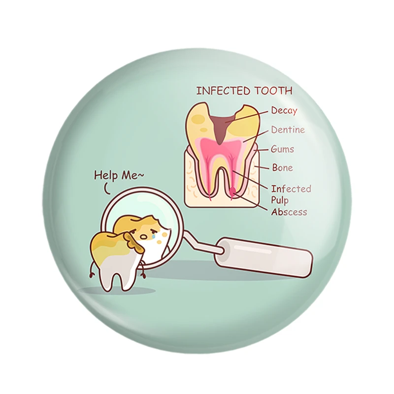 مگنت خندالو مدل دندان و دندان پزشکی کودکانه کد 36732