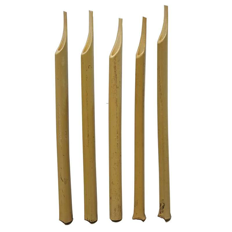 قلم خوشنویسی مدل قلم نی استخوانی بسته 5 عددی قلم خوشنویسی مدل قلم نی استخوانی بسته 5 عددی