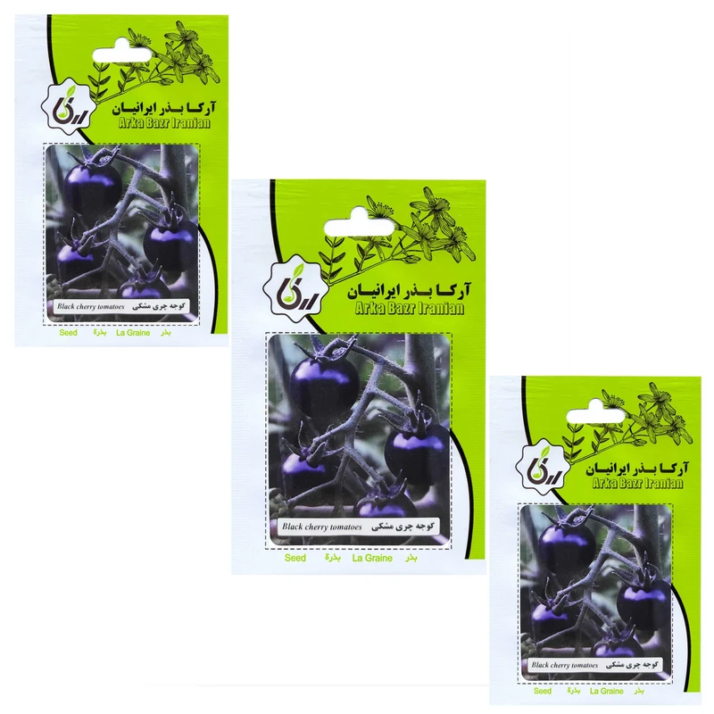 بذر گوجه چری مشکی آرکا بذر ایرانیان کد 205 -ARK مجموعه 3 عددی