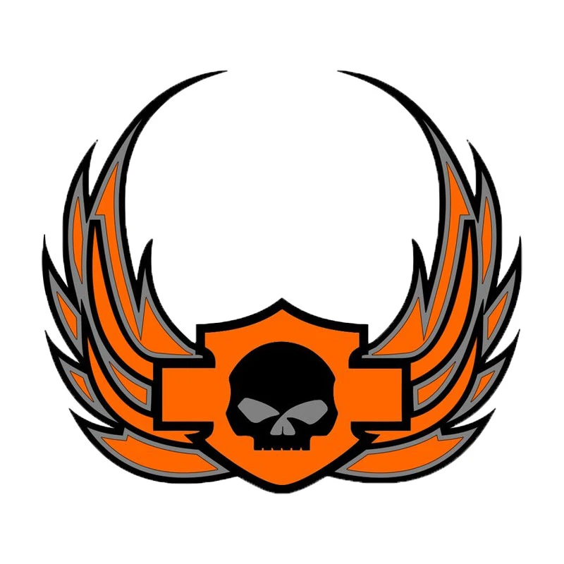 برچسب موتور سیکلت رایسان طرح orange کد sm0078