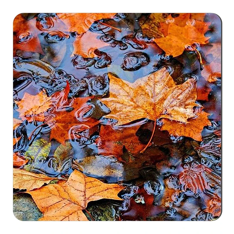  مگنت طرح برگ های پاییزی و باران کد wmg2051