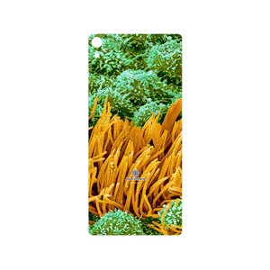 MAHOOT Atom Universe 6 Cover Sticker for Sony Xperia XA Ultra