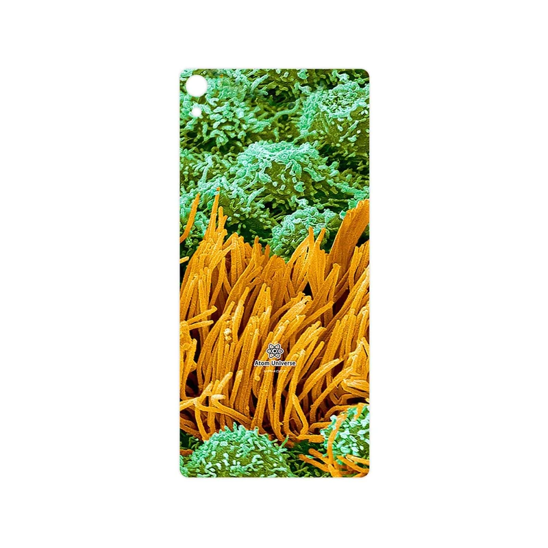 برچسب پوششی ماهوت مدل Atom Universe 6 مناسب برای گوشی موبایل سونی Xperia XA Ultra