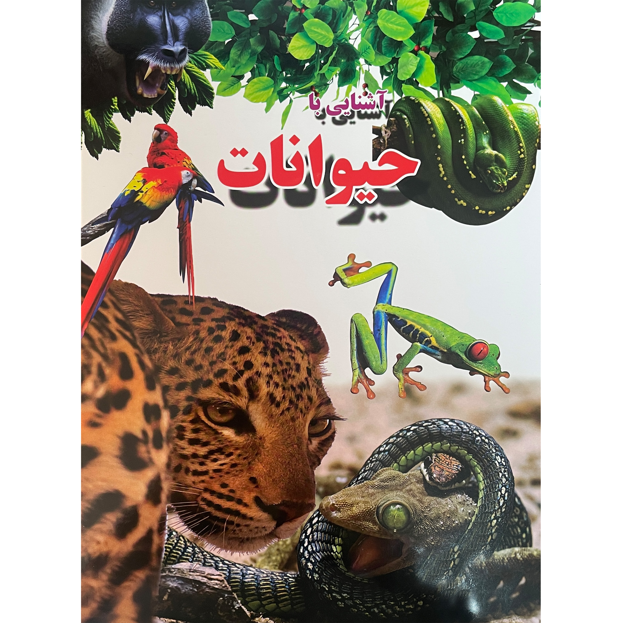 کتاب آشنايی با حيوانات اثر علی ذوالفقاری انتشارات ستاره سبز