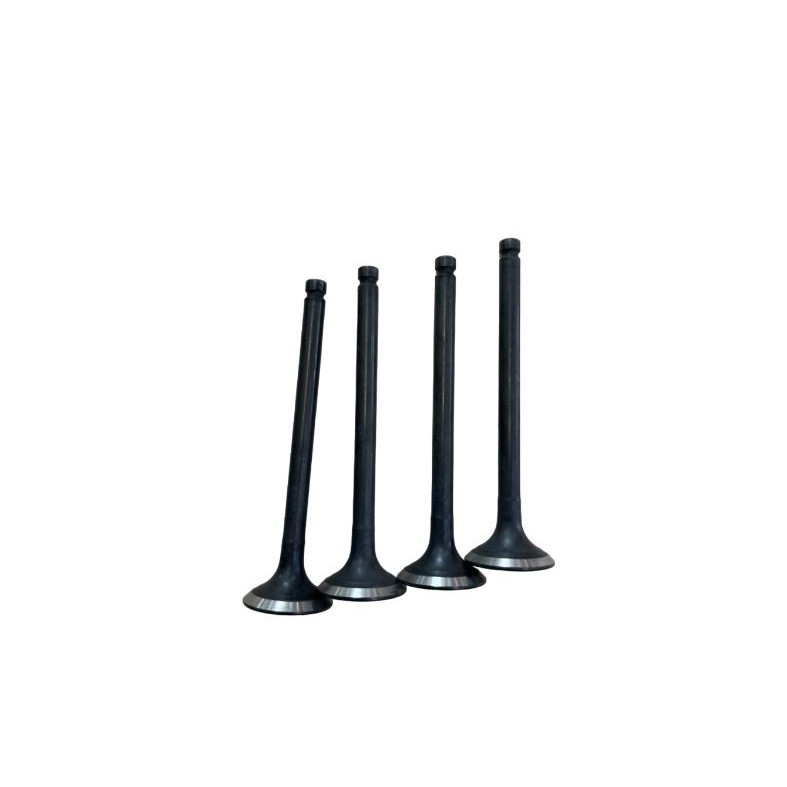 سوپاپ دود دیناپارت کد 500205 مناسب برای پراید بسته 4 عددی