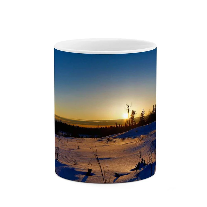 ماگ کاکتی مدل منظره کد mgh13132