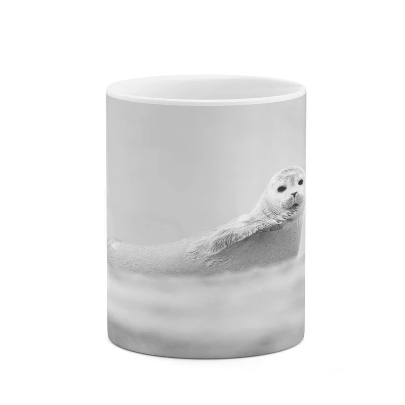 ماگ کاکتی مدل فوک کد mgh14022