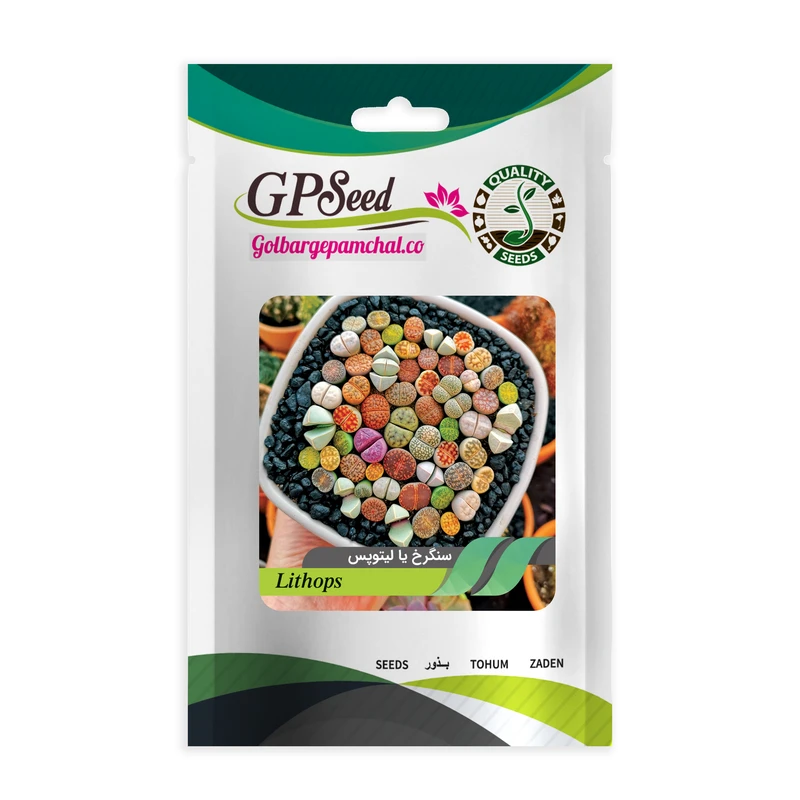 بذر سنگرخ یا لیتوپس گلبرگ پامچال کد GPF-187