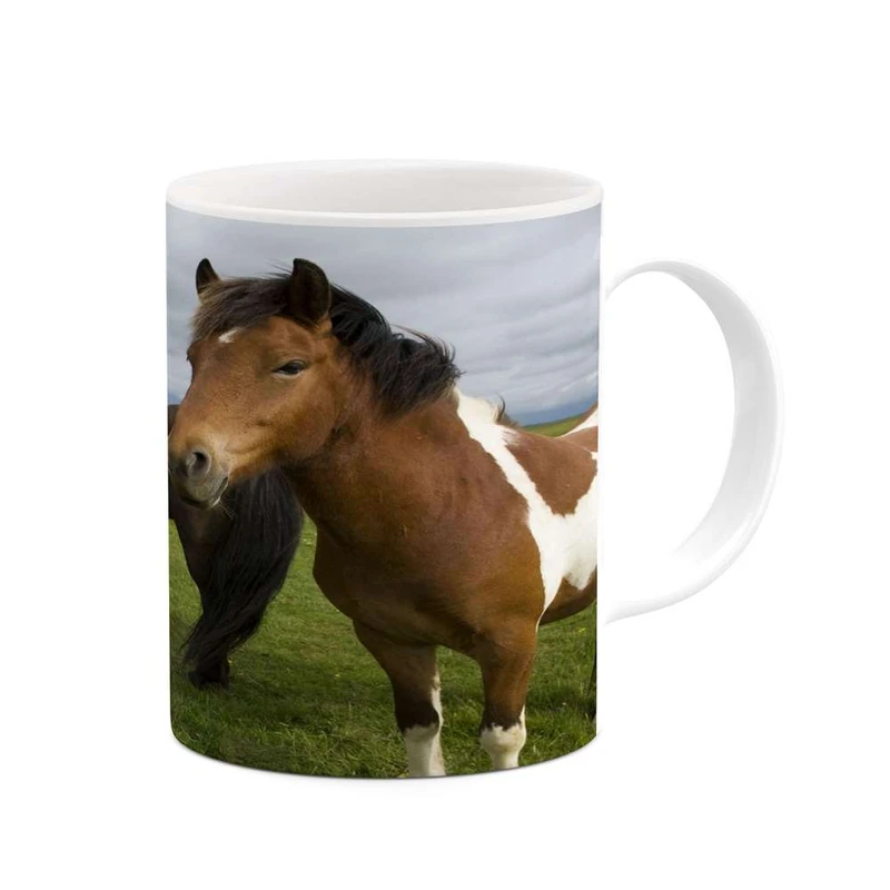 ماگ کاکتی مدل اسب کد mgh24146