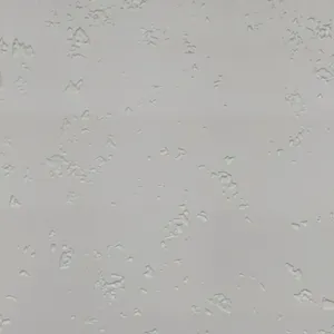 دیوارپوش مدل پشت چسب دار پتینه بسته 10عددی