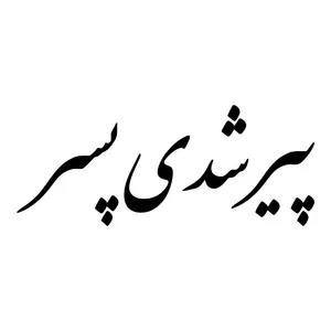 برچسب بدنه خودرو طرح پیر شدی پسر کد MT-B459