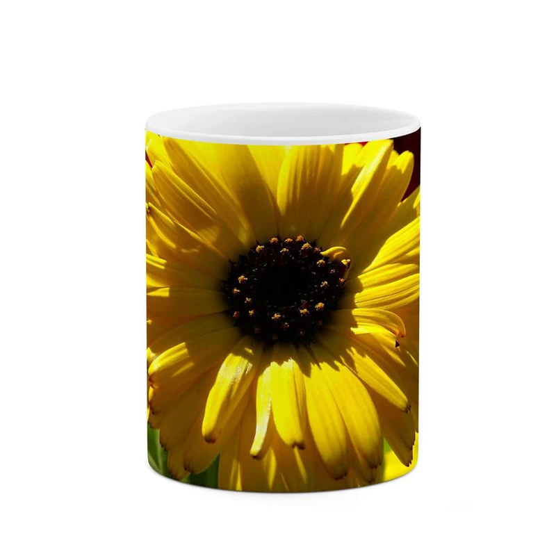 ماگ کاکتی مدل گل کد mgh12034