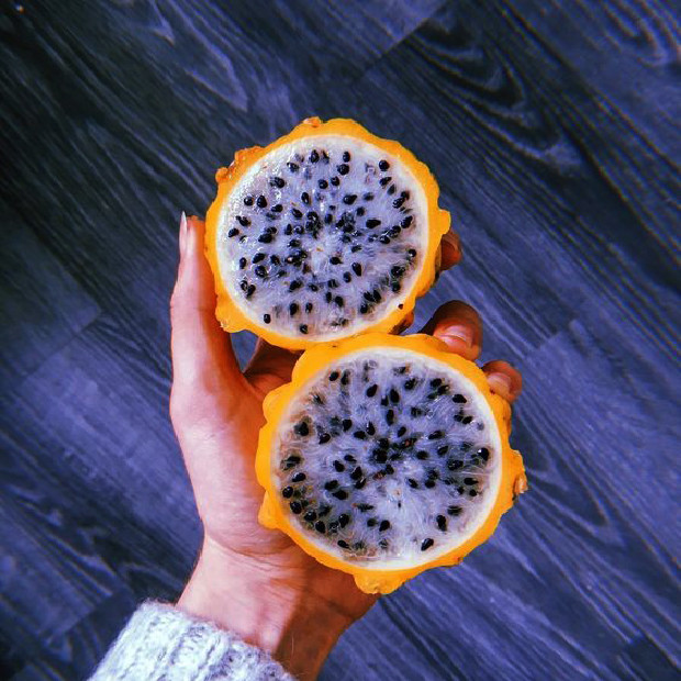 بذر میوه دراگون فروت زرد سانیا سید مدل D4