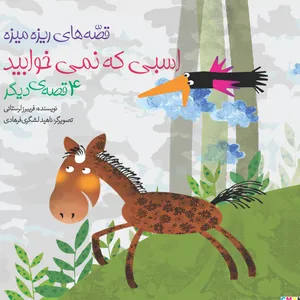 کتاب اسبی که نمی خوابید اثر فریبرز لرستانی انتشارات ساز و کار