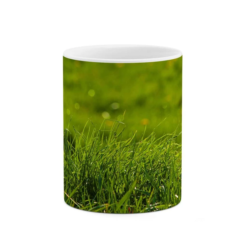 ماگ کاکتی مدل چمن کد mgh11279