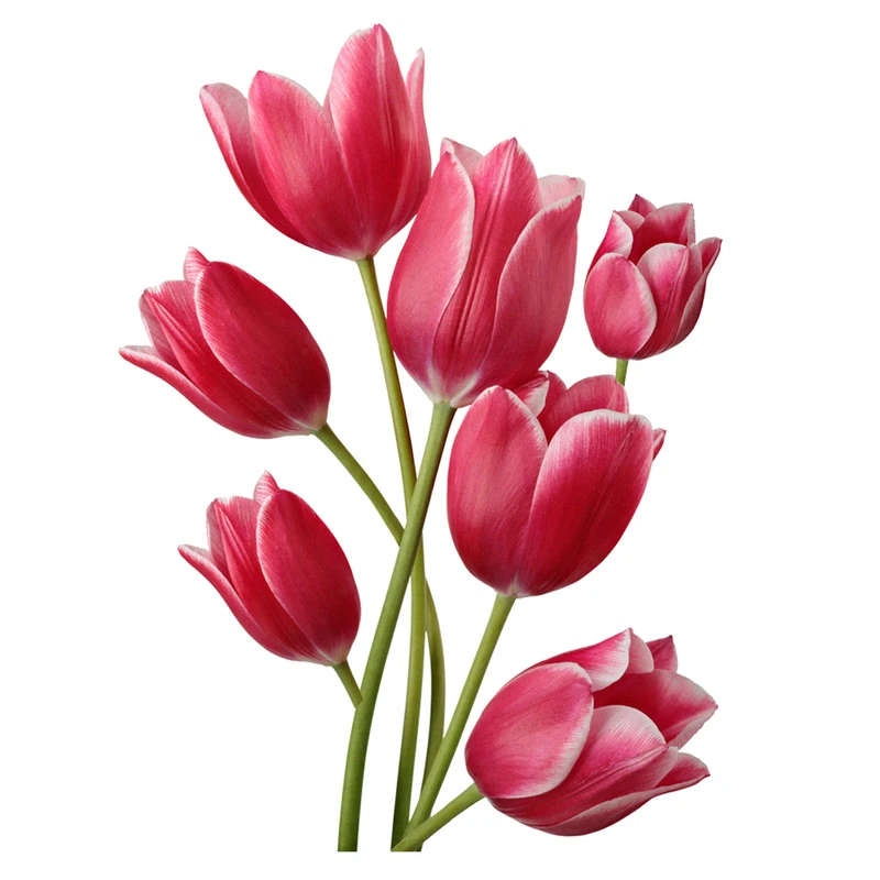 استیکر باروچین مدل گل لاله کد 4214