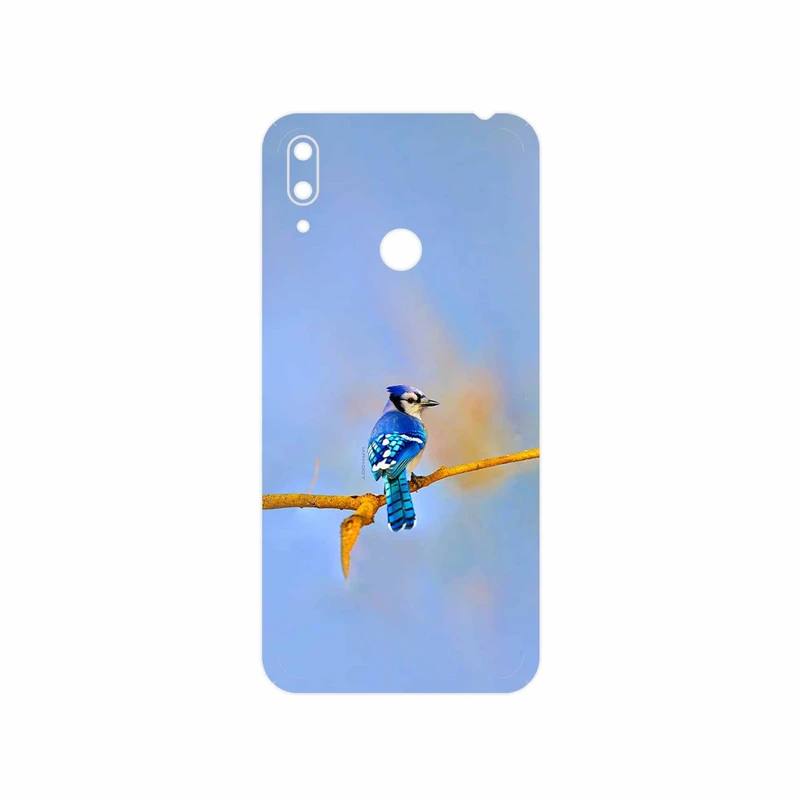 برچسب پوششی ماهوت مدل Cyanocitta cristata مناسب برای گوشی موبایل هوآوی Y7 Prime 2019