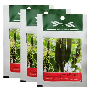 بذر خیار درختی رسمی وانیا سید کد K18 مجموعه 3 عددی